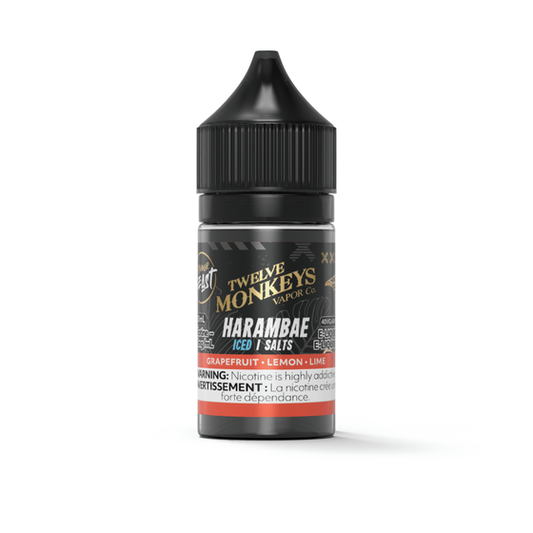 Flavour Beast x 12 Monkey - Harambae Iced Salt